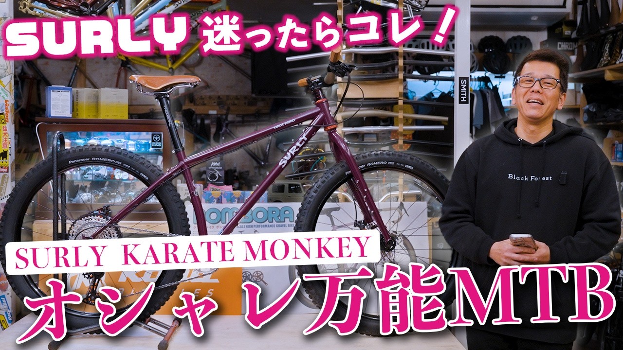 Is this all you need?] The SURLY Karate Monkey is now a versatile 