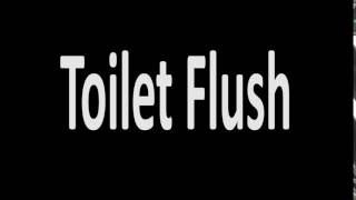 Free Sound: Toilet Flush Sound