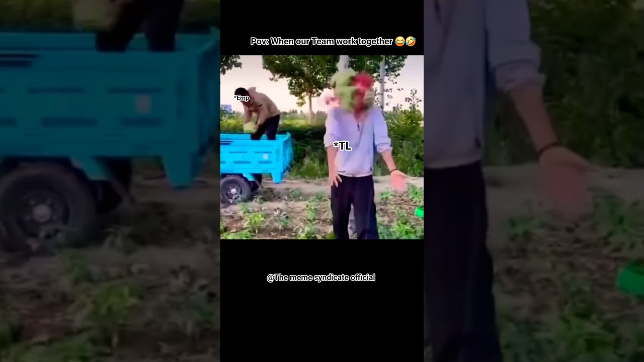 Team Work 😂