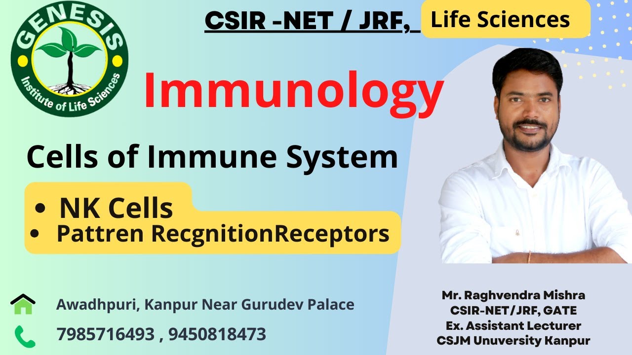 NK Cells | Pattren Recgnition Receptors | PRRs | Immunology | L-8