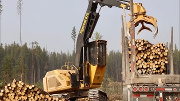 Tigercat 875 Loading Short Logs - Solano Resources