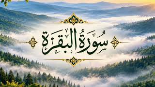 Recitation of Surah Baqarah 3rd and 4th Ruku#Islam