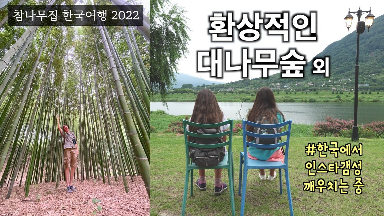 스페인서는 볼 수 없는 환상적인 대나무숲에서 인스타갬성 깨어나는 [참나무집]