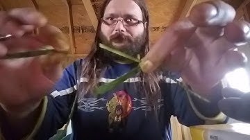 How to make yucca cordage.