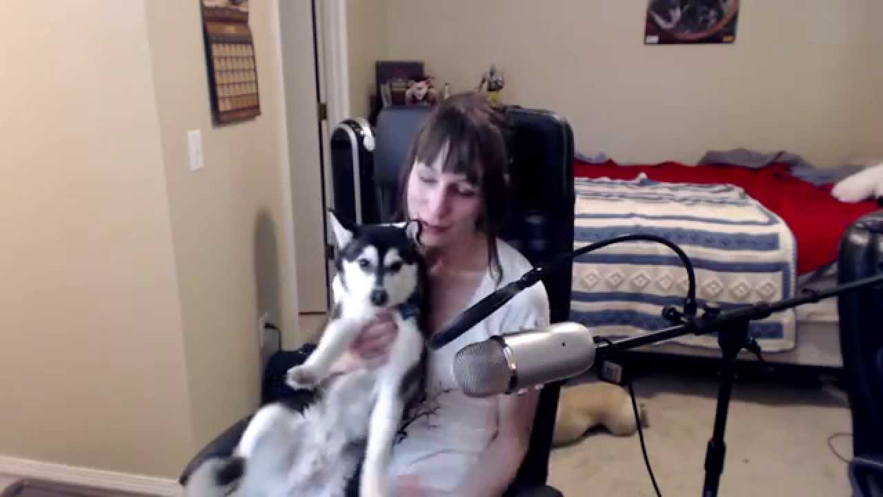 gaming logo Almost Saturday Vlog: Azeroth Choppers and Wildstar (featuring bonus puppy-ness)