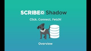 Scribe Shadow Overview Profile
