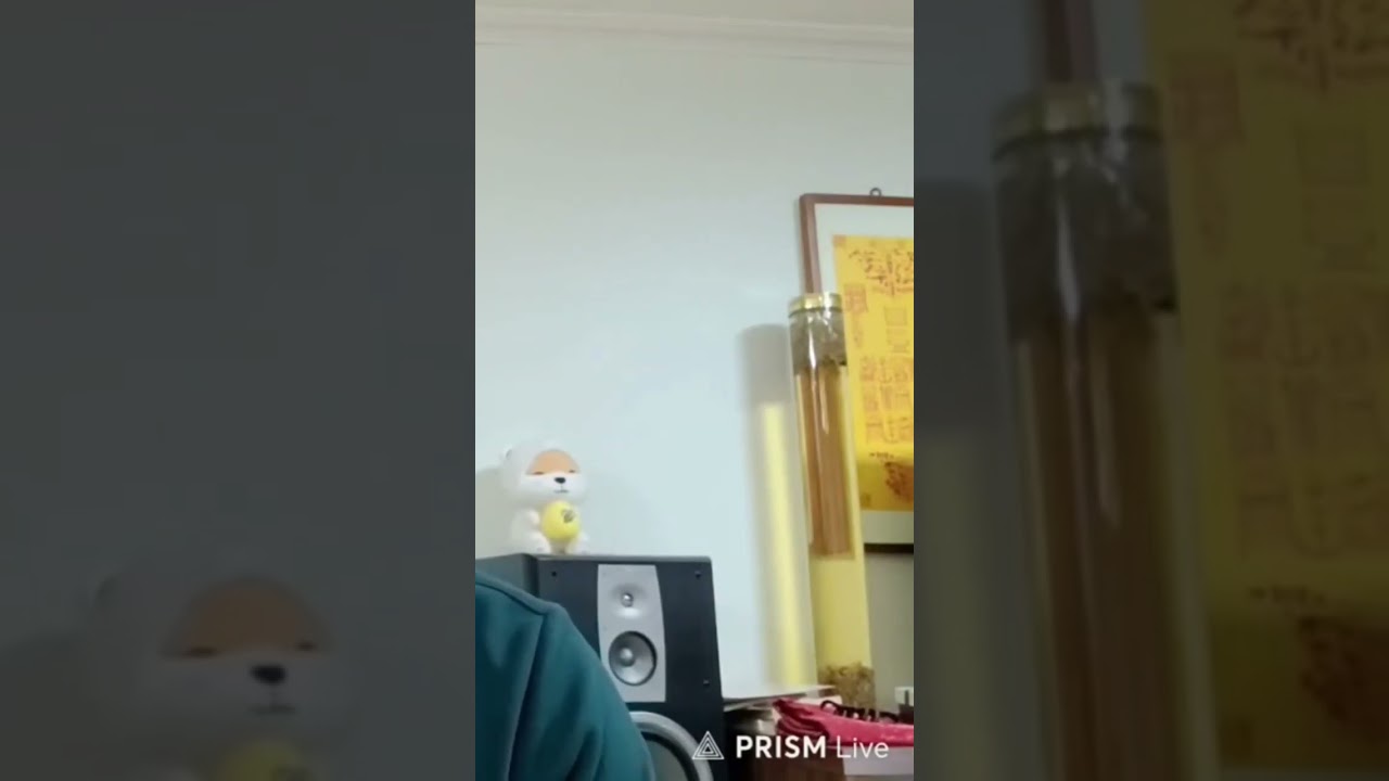 행운의 색과 방향 대박 오늘의운세 2024년2월7일 수요일 재회운/연애운/애정운이 좋은 띠 (뱀띠/닭띠/소띠) 