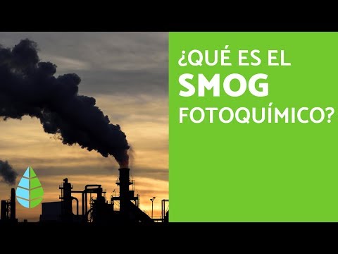 Video: ¿Qué es el smog y por qué es peligroso?