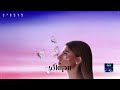 אודיה פרפרים ווקאלי Prod By Navi אודיה פרפרים ווקאלי Prod By Navi