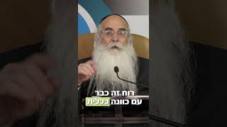 מה מלמד אותנו הארי ז"ל - לכבוד הילולת הארי ז"ל