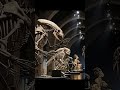 Museum of Strange Skeletons / Museo de esqueletos raros