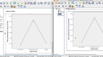 Customized Output File in SPSS