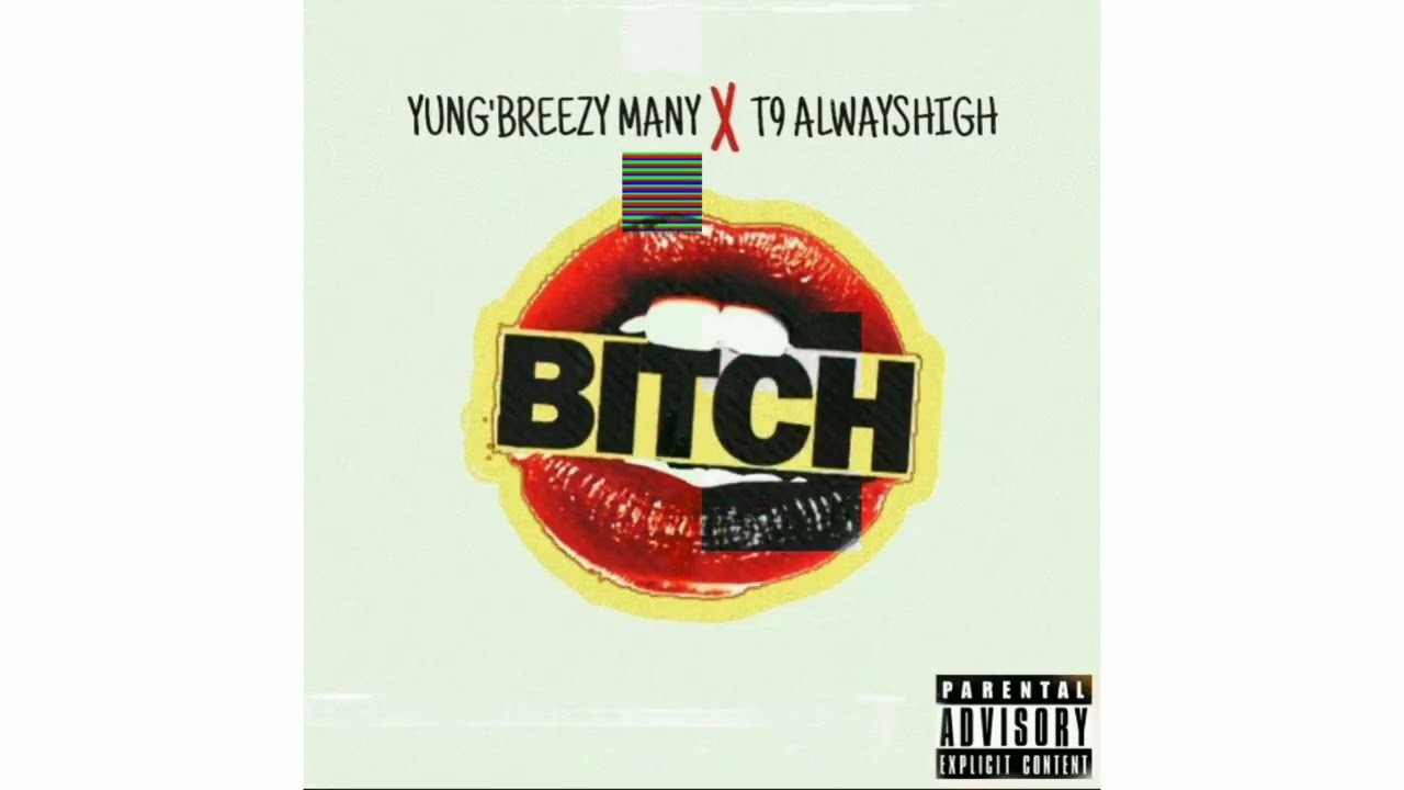 Yung'Breezy Many - BITCH - Feat.T9 Alwayshigh  (Official Audio)