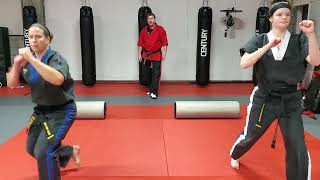 Adult Red Belt Dive Shoulder Roll Series