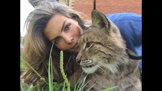 Lince Alicia, Rusia 2018