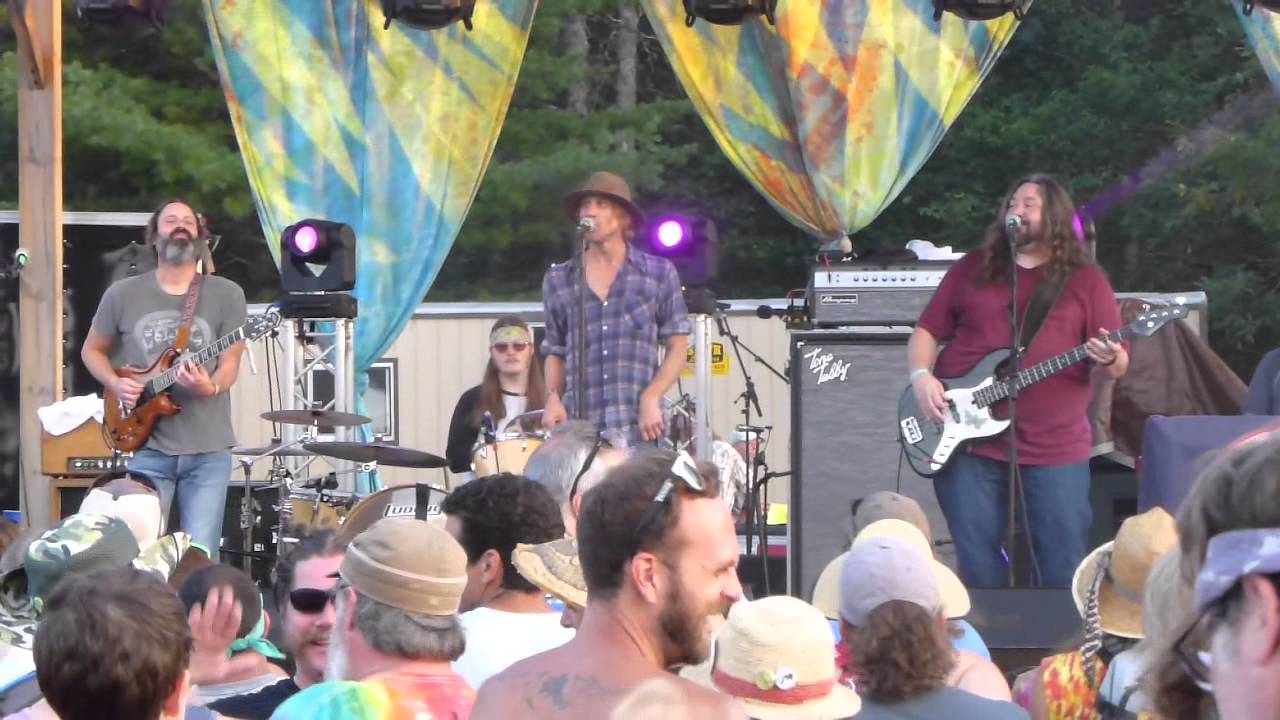 Hard Working Americans Stomp And Holler, Hoxeyville Music Festival