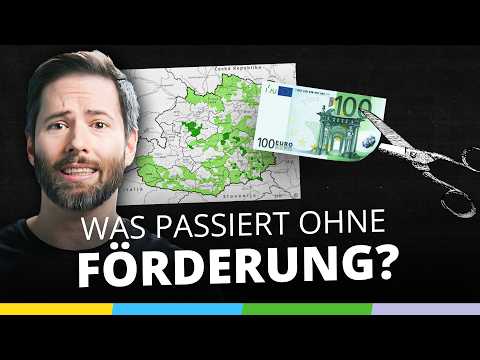 Booster für Wachstum: So wichtig sind Förderungen!