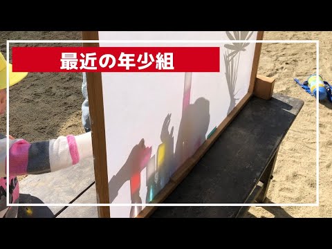 最近の年少組2023年11月01日