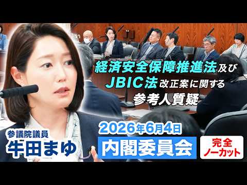 2026年6月4日｜参議院 内閣委員会 経済安全保障推進法及びJBIC法改正案に関する参考人質疑｜牛田まゆ（国民民主党）