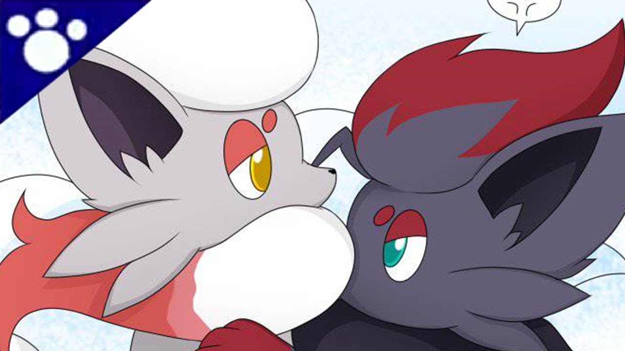 Pokemon ~ The Zorua's