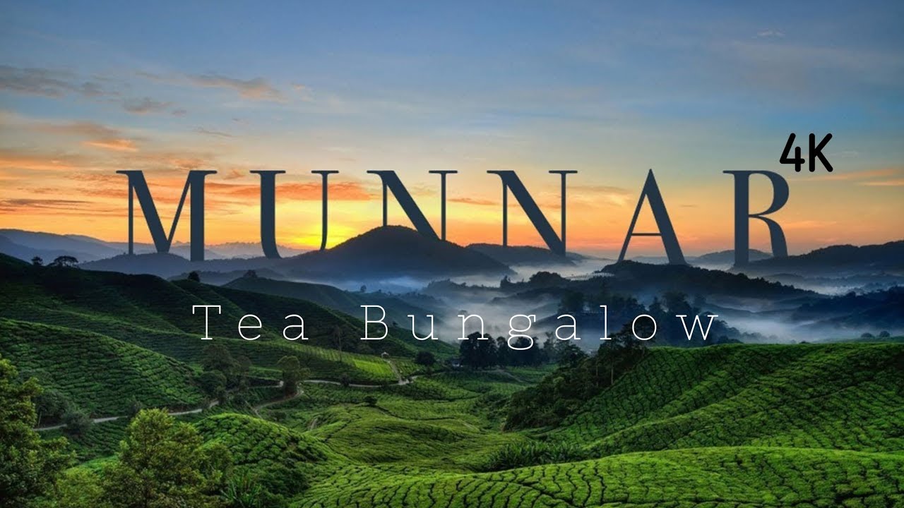 Munnar Tea Bungalow and Tea Gardens 4K | 