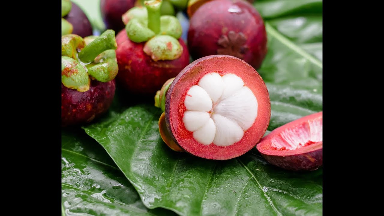 Mangosteen Xanthones Antioxidant, Cancer, Inflammation