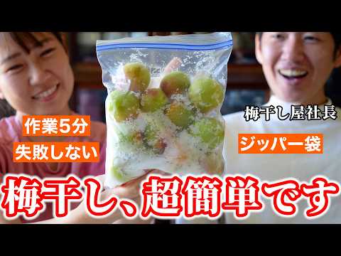 「【梅仕事】プロが教える基本の梅干しの作り方。ジップロックで失敗なし！」のサムネイル