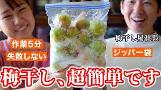 【梅仕事】プロが教える基本の梅干しの作り方。ジップロックで失敗なし！
