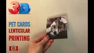 Lenticular Pet Cards || 3D Cards for Pets || Pet Greeting Cards