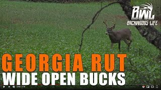 GEORGIA RUT BUCK - BUCK DAZE HUNT