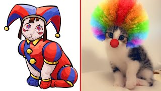 Cat Meme: THE AMAZING DIGITAL CIRCUS  Trending Funny Animals 2023