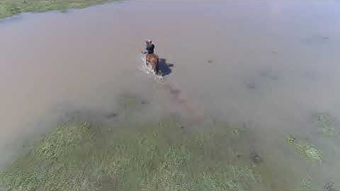 Centro Europeu - Pilotagem de Drones - Aula prática