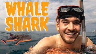 Swimming with WHALE SHARK in DONSOL, PHILIPPINES 🇵🇭 | (I ate crab for the first time!)