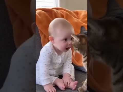 Kendi öğrendiklerini kediye öğretiyor 😁😻 #keşfet