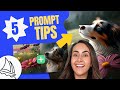 Mid-Journey Prompting Techniques Quiz