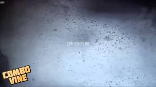 Combo Vine 720