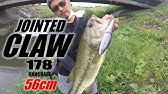 バス釣り 減水期突入 秋の 多々良沼 バスフィッシング 16 Youtube
