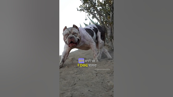 Duniya Ke sabse Khatarnak Dog Breeds 🐕🔥😡 // #shorts