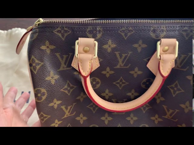 LV speedy 25 l Price increase l 2 years Wear & Tear l Waterproof