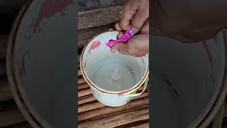 Cheap but effective corn caterpillar exterminator