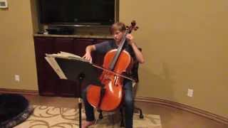 Renaissance Fair Project Cello