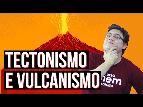 Vídeo: O Que é Um Tectonista