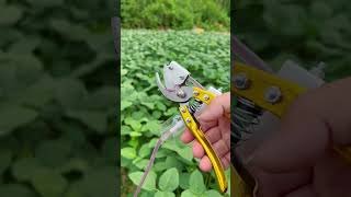 Reed Cyperus and Camelthorn Pruning Shears #Agricultural Tools