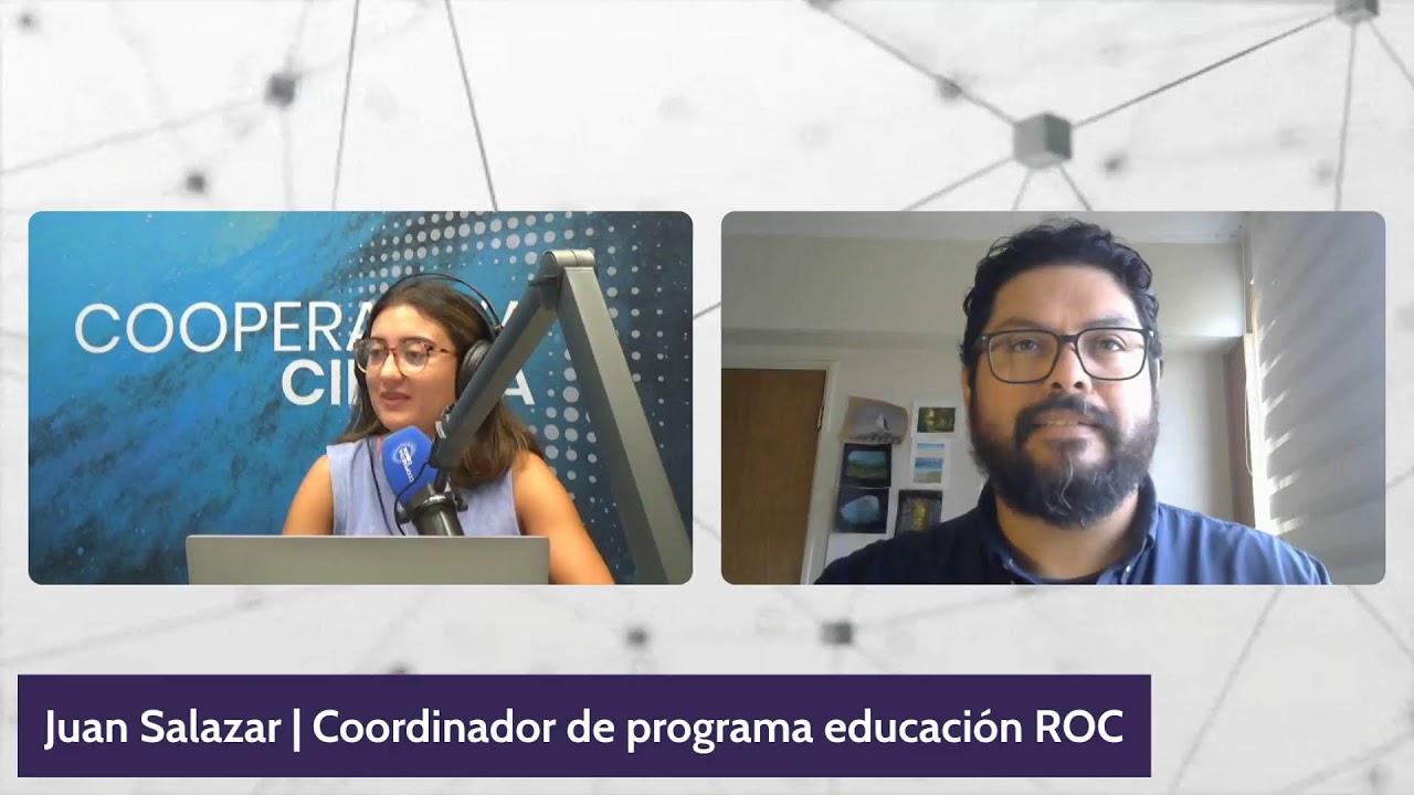 Consejos para ‘pajarear’: Una práctica para el avistamiento de aves
