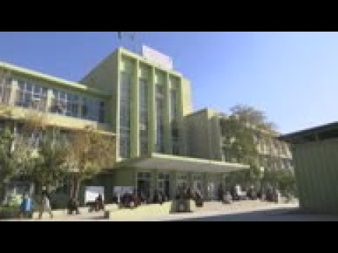 At least 4 killed in Kandahar suicide bombing