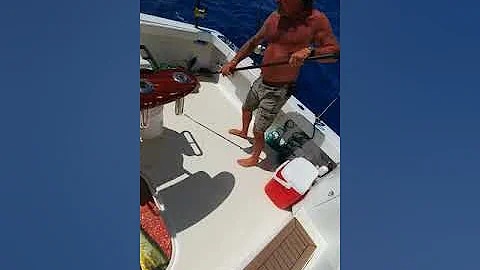 Bahamas