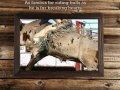 Hometown Cowboy Trailer
