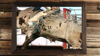 Hometown Cowboy Trailer