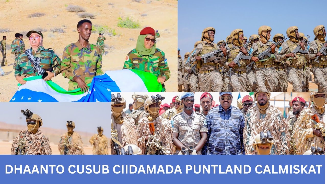 CAGTA MEESHA DHIGTA KEEN CASHUUR BAAN KU IDHI. DHAANTO CUSUB CIDMADA  PUNTLAND ABWAAN DALMAR 2025