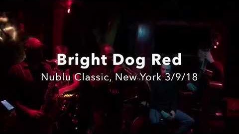 BDR nublu classic, NYC 03/09/18